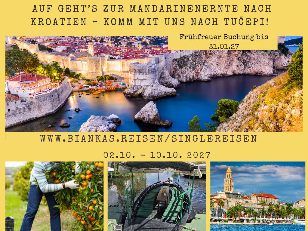 Singlereise zur Mandarinenernte nach Kroatien – Soloreisende und Singles bei der Mandarinenernte in Dalmatien nahe Tučepi